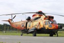 Sea King