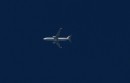Boeing 737-8 