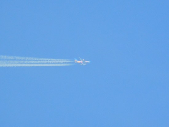 A380 Dubai EXPO livery