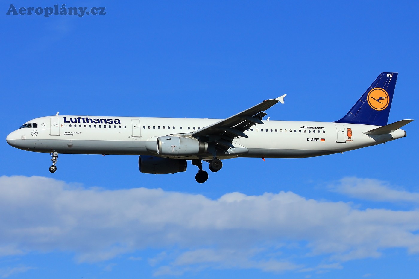 Airbus A321-131 - D-AIRY