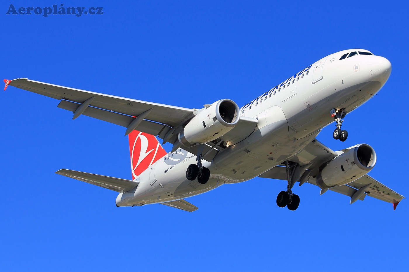 Airbus A319-111 - TC-JLZ