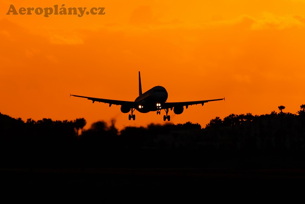 Backlight