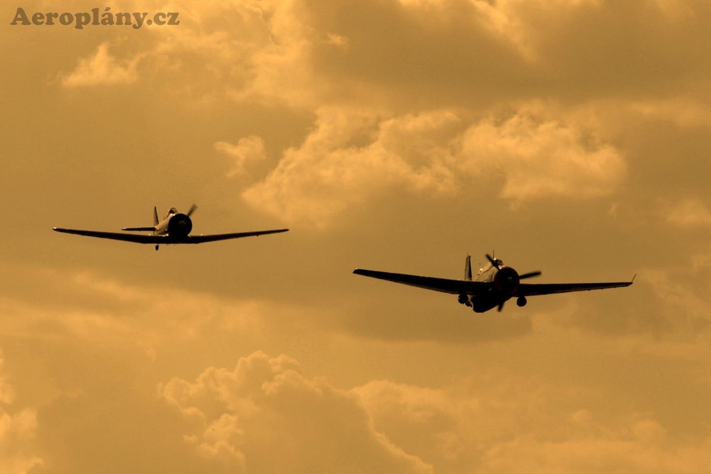 Přílet pacifických bojovníků na Aviatickou pouť 2012