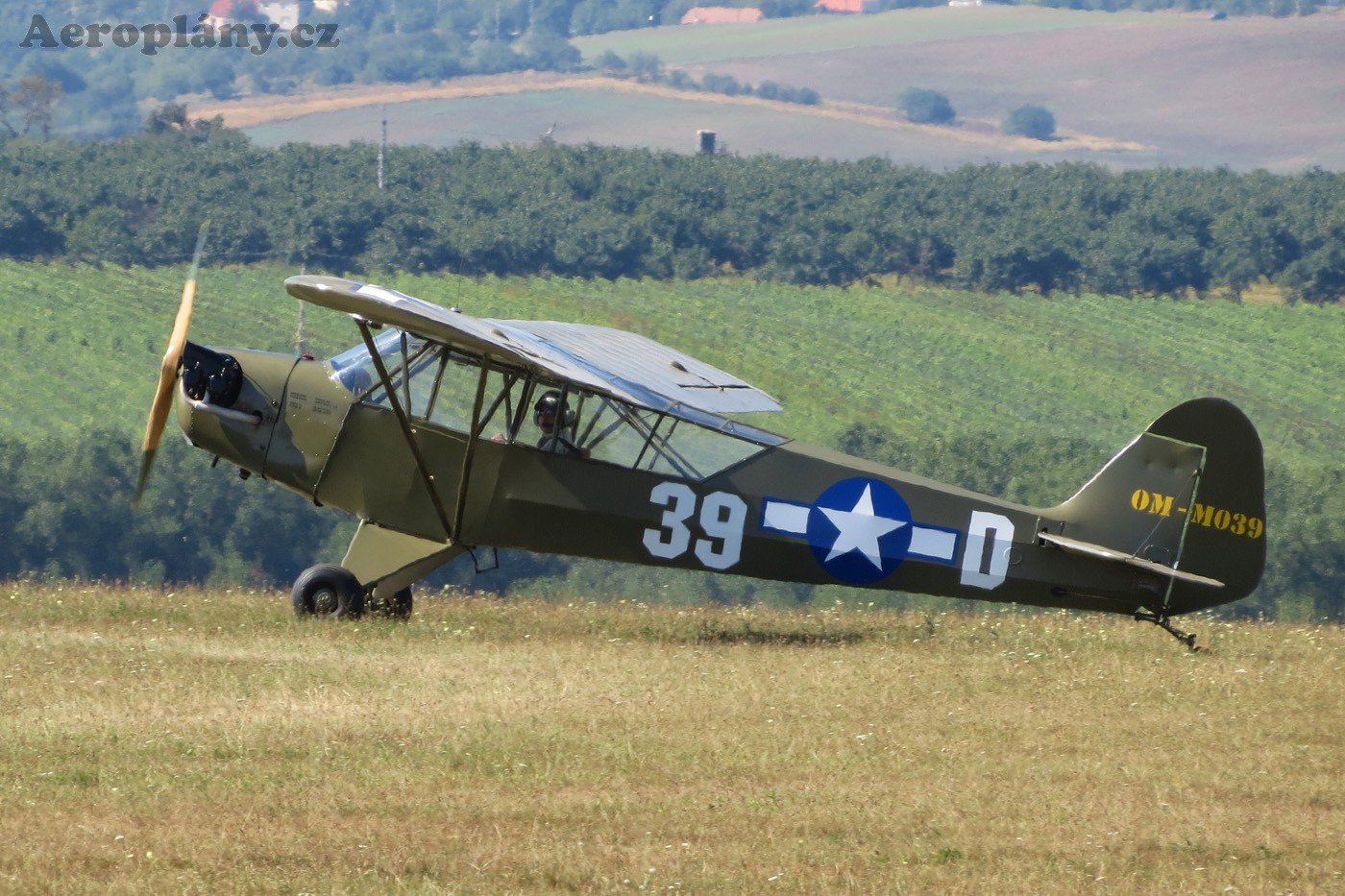 Piper L-4H Grasshopper - OM-M039