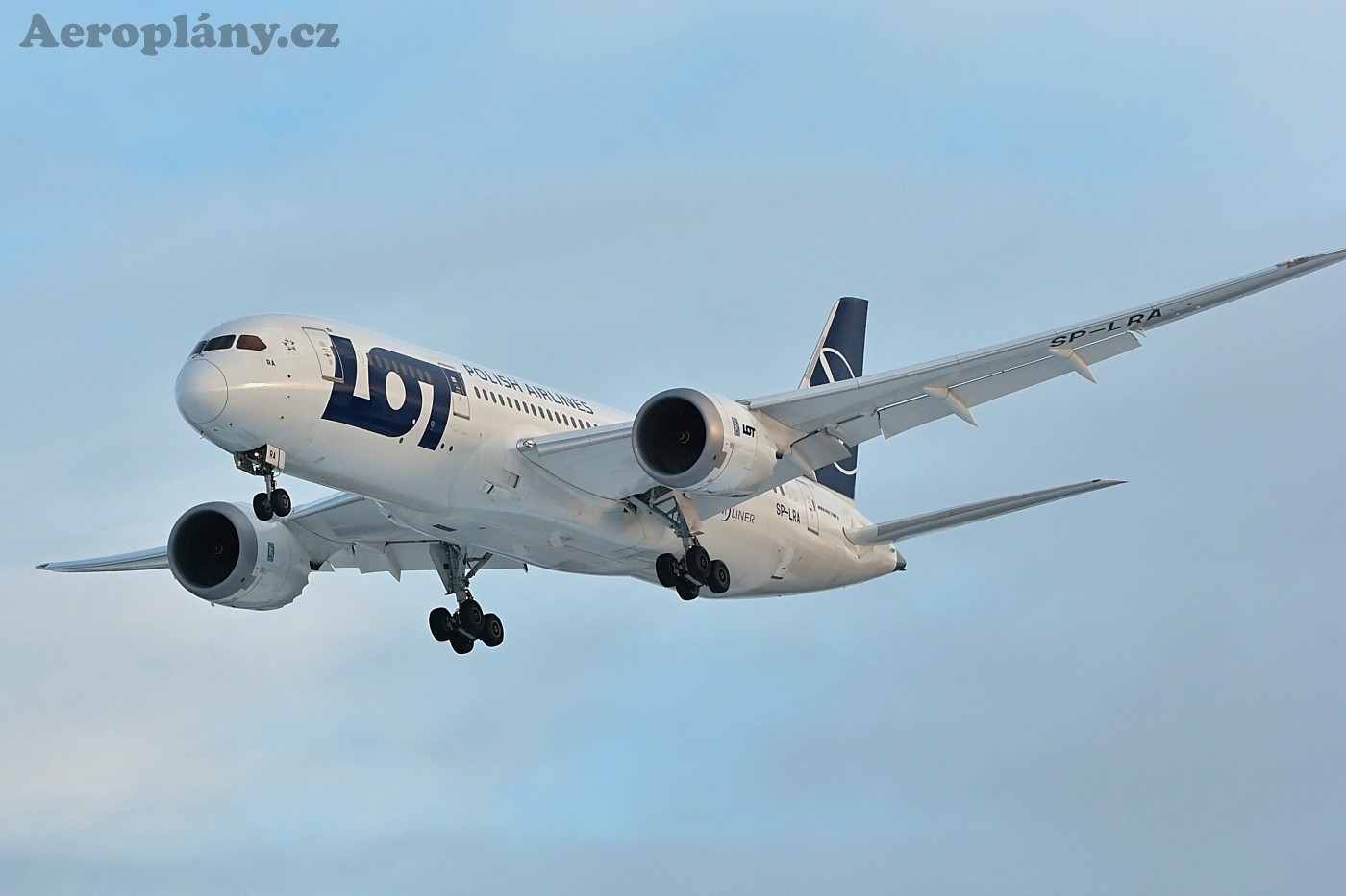 Boeing 787-8 Dreamliner - SP-LRA