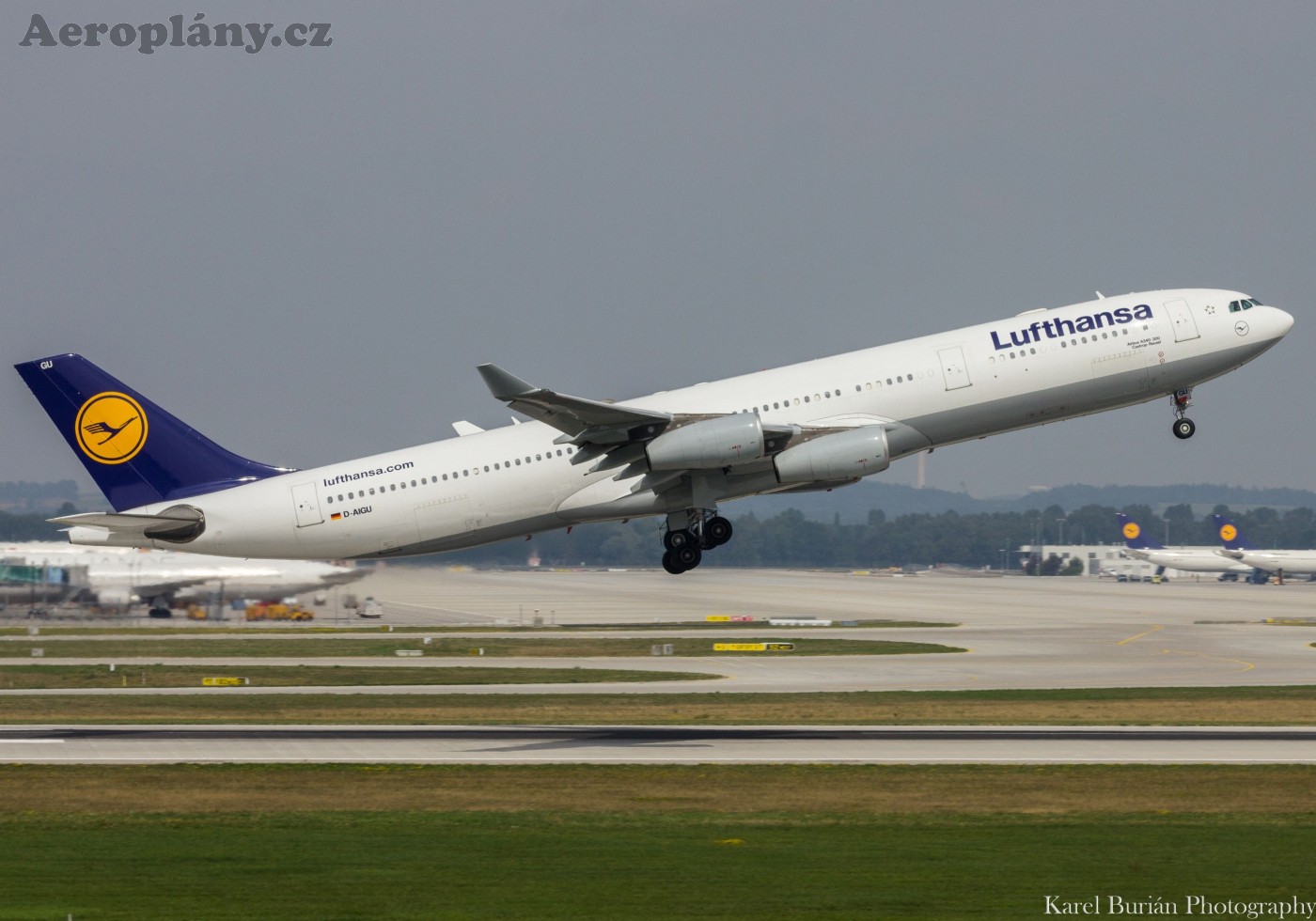 Airbus A340-313X, D-AIGU, Lufthansa