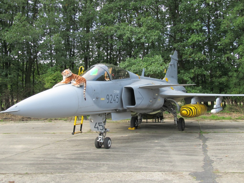 Jas-39 Gripen