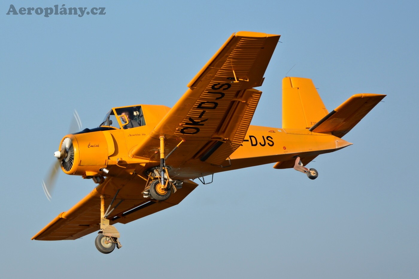 Zlín Z-37A Čmelák - OK-DJS