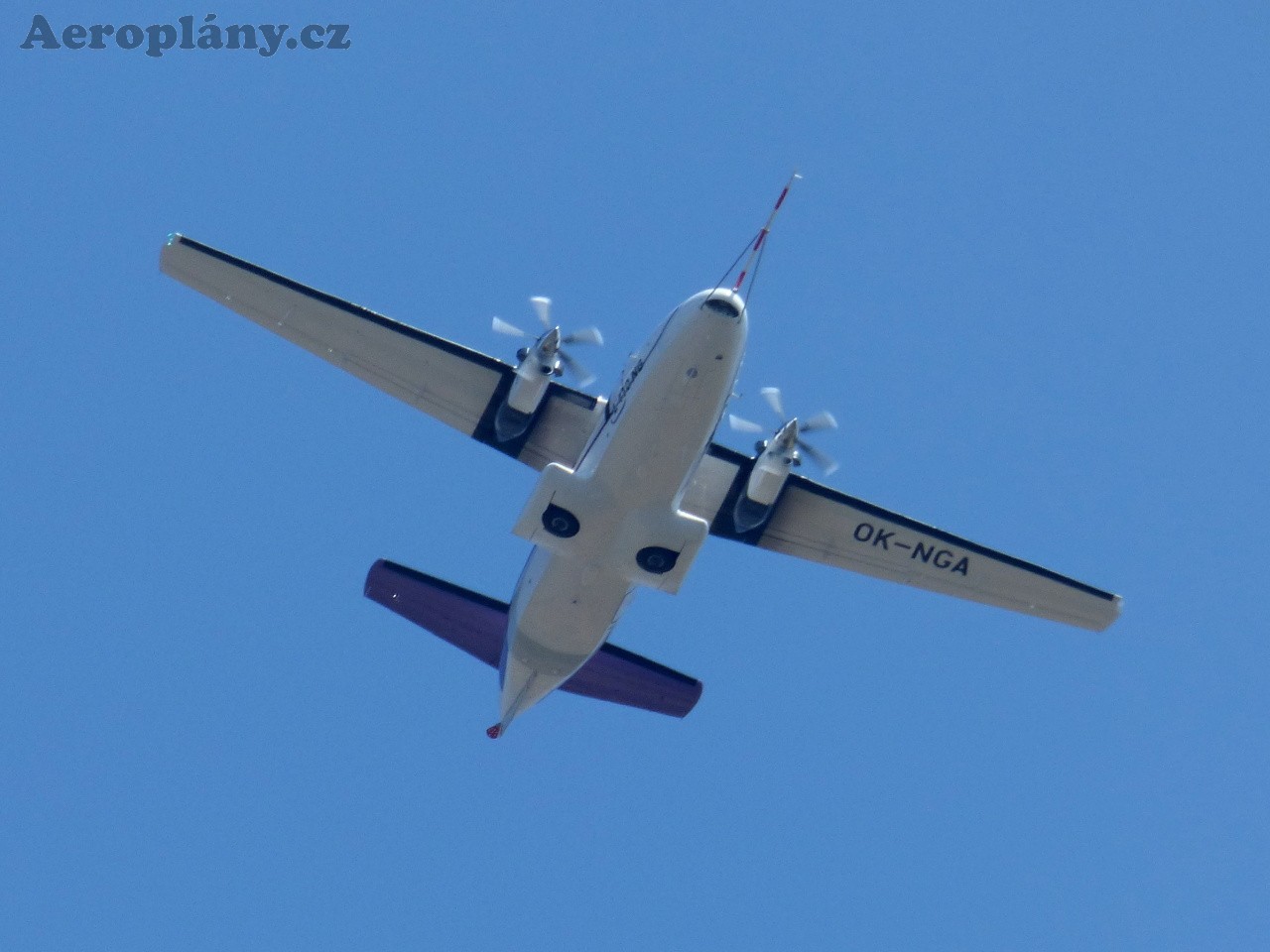 L-410 NG