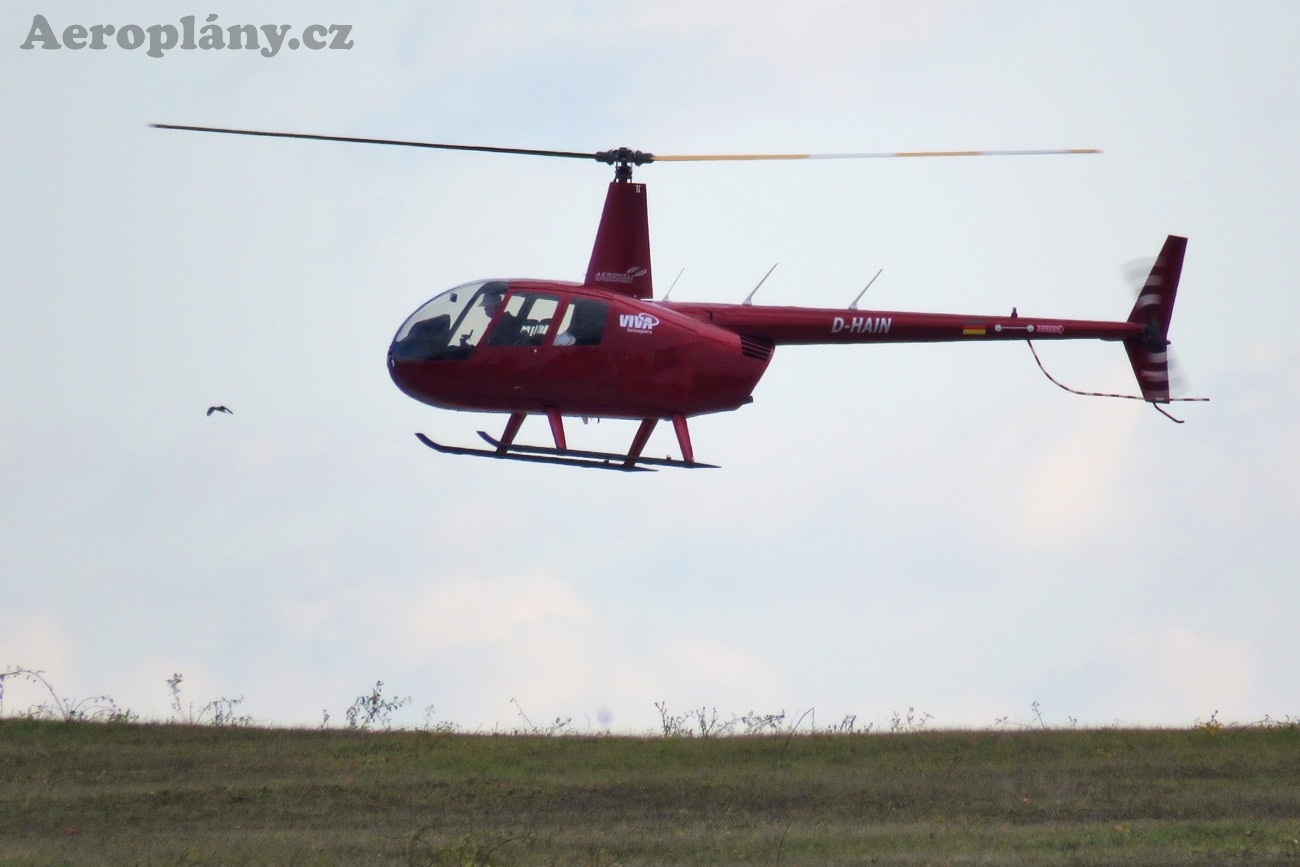 Robinson R-44 Raven II - D-HAIN